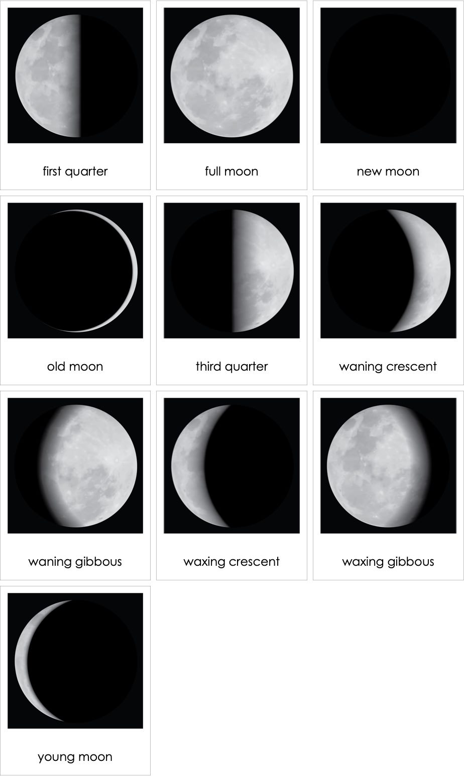 Quarter moon or a half moon?, Moon Phases