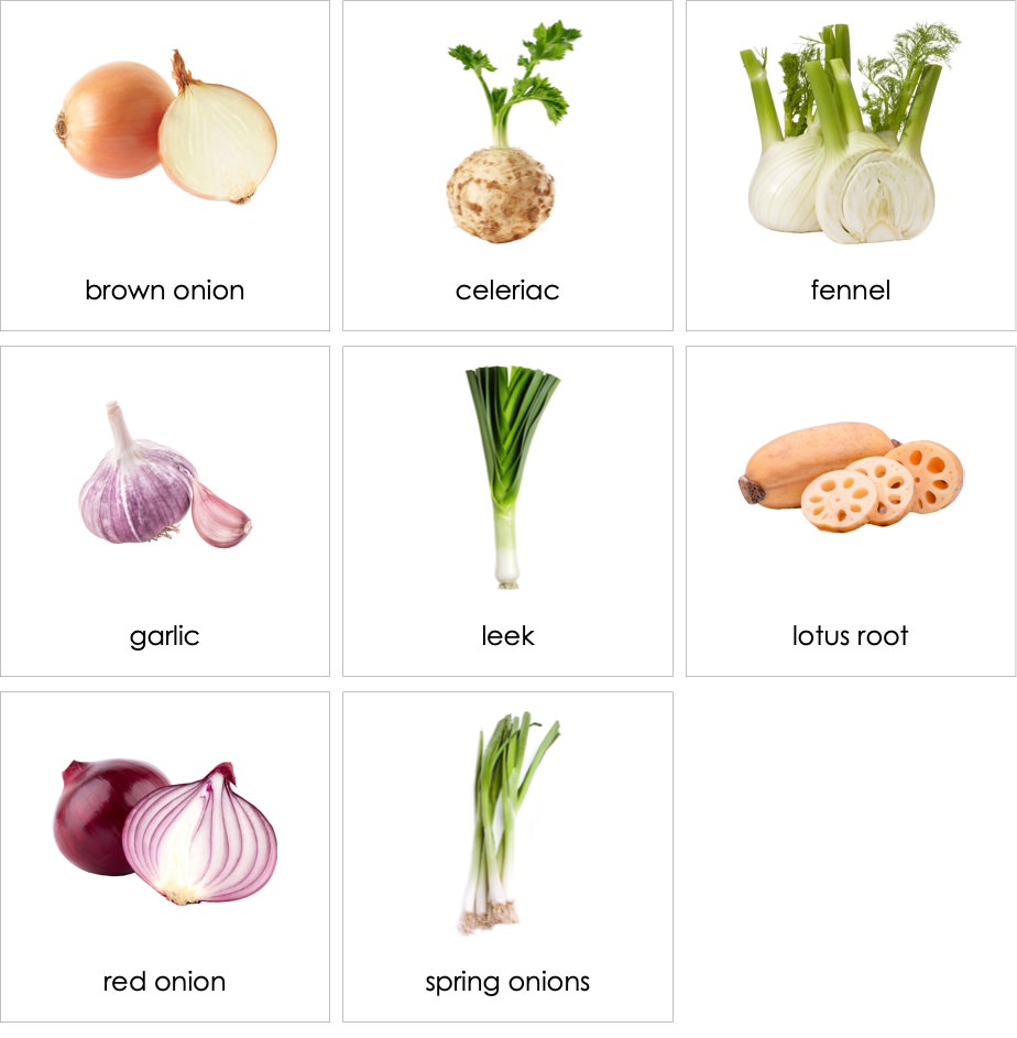 Vegetables Bulb AMI Digital